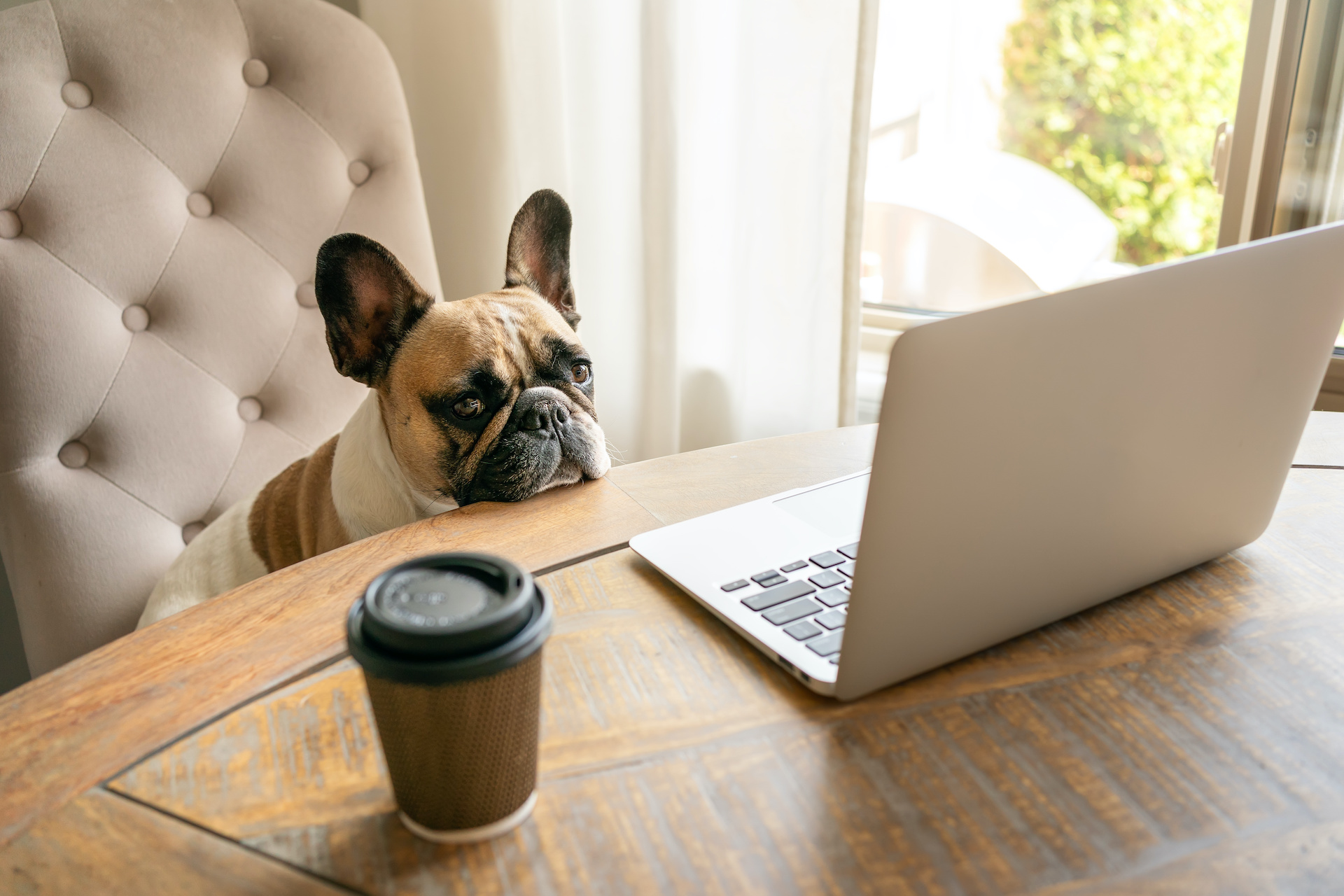 Work From Home Loneliness Is A Thing - Photo: Oksana, YFS Magazine, Adobe Stock